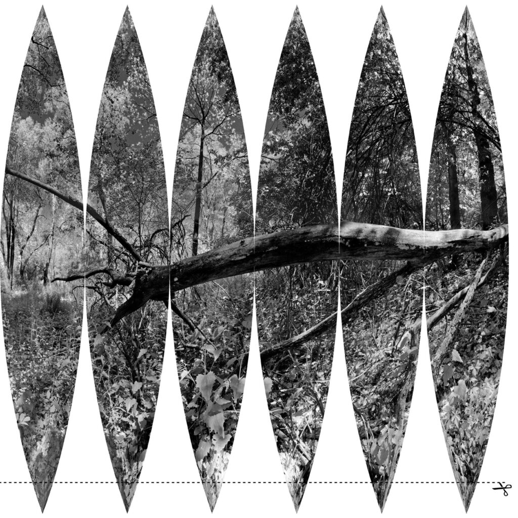 cover of photobook called Interiors